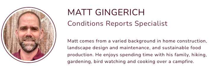Matt Ginerich's Bio